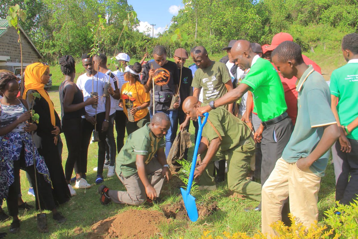 Karasinga3's tweet photo. Early world environment day in advance ... planting trees and taking care of the earth is the key.Thanks to @PeaceAmbsKenya and @Dedankm ....
 @evakimathi
@KeForestService,
@AfricaGreens
 @KeEquityBank 
 @kdfinfo
 @CKL
#Trees4life
#1MTrees4Teddy.
#DKFNAKURU
#Trees4betterlife https://t.co/xQZZRliSoG