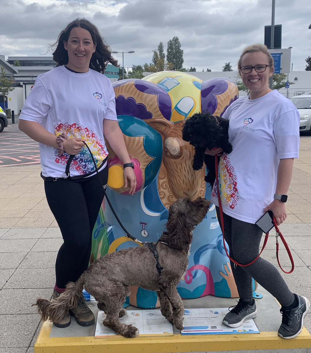 rlsadler1's tweet photo. Today we walked from QHB to RDH (12miles!!!) to help raise money for the Stroke Garden Project 🧠🍃 An outdoor space to help support our patients rehabilitation is so important - please donate &amp; share! 💗 
https://t.co/KdyVoXA0HK
@UHDBTrust @hospitalcharity @TheStrokeAssoc https://t.co/kEn7aXBWDK