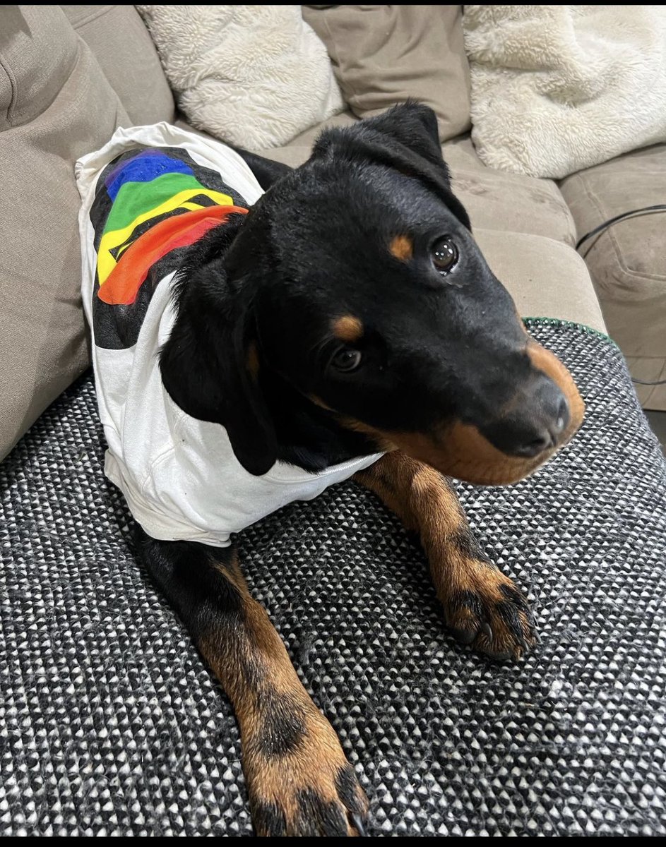 Doesn’t everyone need an equality in lacrosse t-shirt? #onefamily #equalityinlacrosse #woodisgood #familyownedbusiness❤️