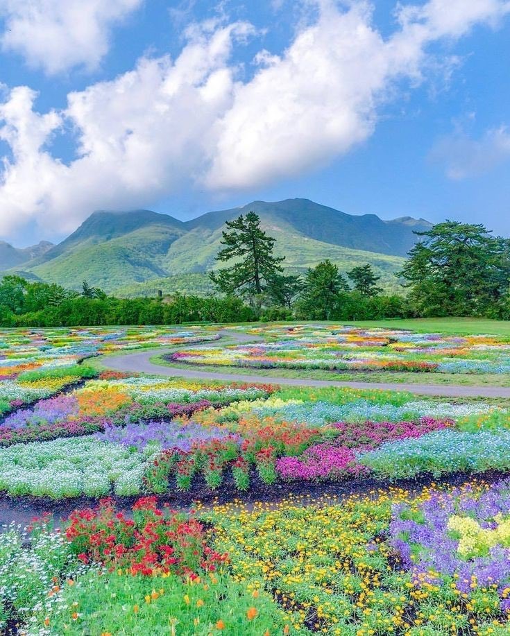 moodboards (@cuteiocations) on Twitter photo 