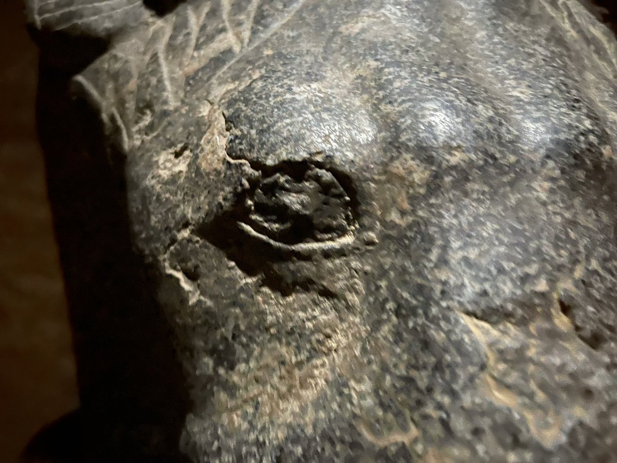 Anyextee's tweet image. Sekhmet, neter of war and the destroyer of the enemies of the solar principle Re. Sekhmet was associated both with disease and with healing and medicine.