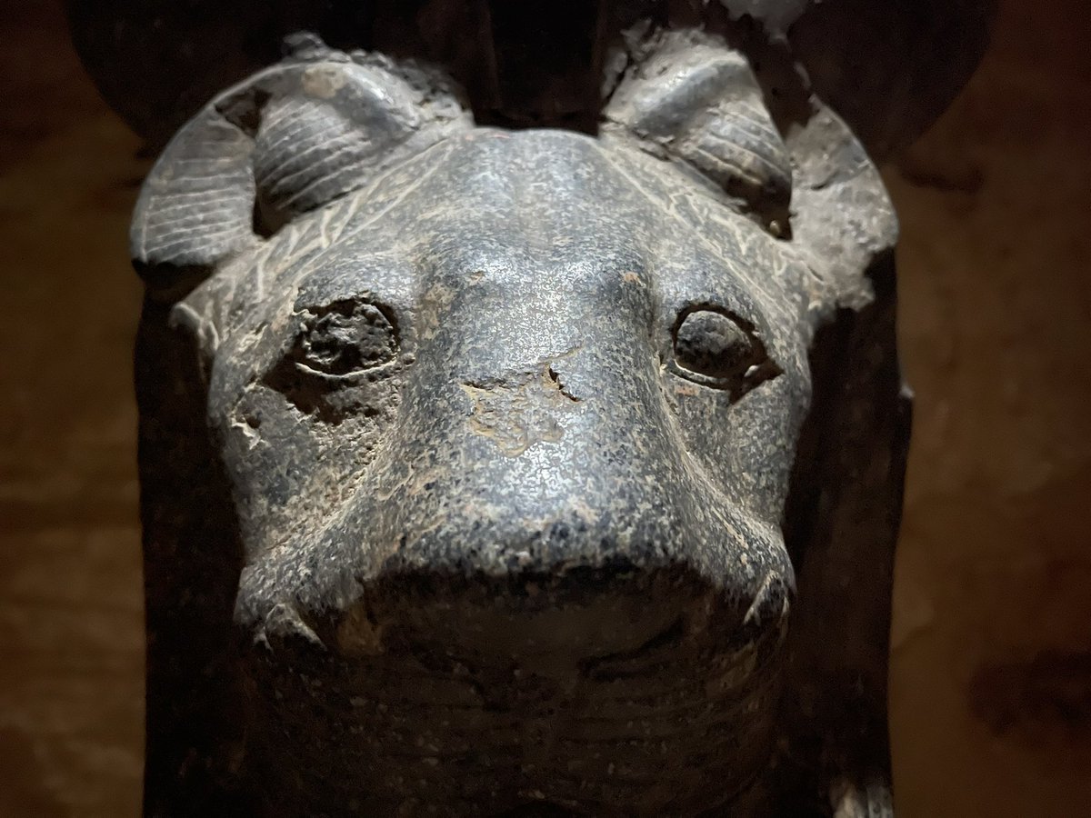 Anyextee's tweet image. Sekhmet, neter of war and the destroyer of the enemies of the solar principle Re. Sekhmet was associated both with disease and with healing and medicine.