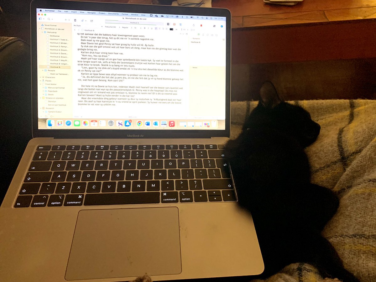 When the kitten wants to help with writing but finds the subject matter boring (it’s all about a dog, for crying out loud!)
#amwritingromance