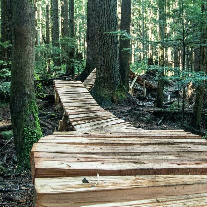 For #InternationalTrailsDay, we are excited to announce our renewed partnership with @nsmba - North Shore Mountain Bike Association, a volunteer-driven non-profit organization dedicated to caring for a sustainable trail network within the local community: bit.ly/2TQ9m7o