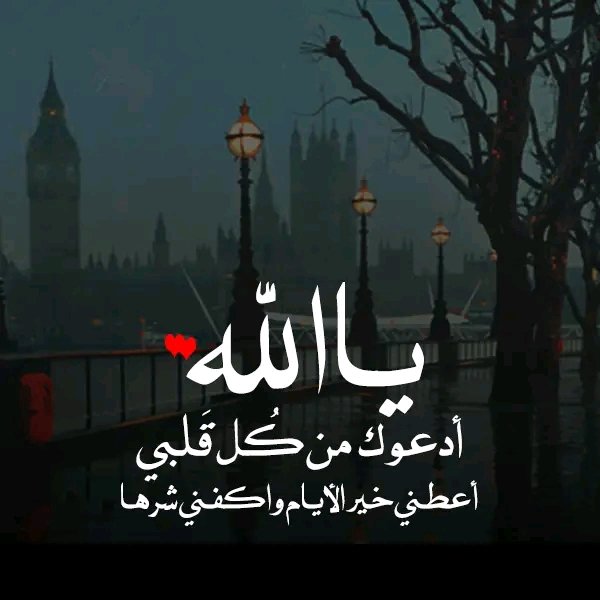 MostaganemWald's tweet photo. #لوهتدعى_دعوة_من_القلب_تدعيها_لمين https://t.co/17NyeuuCPS