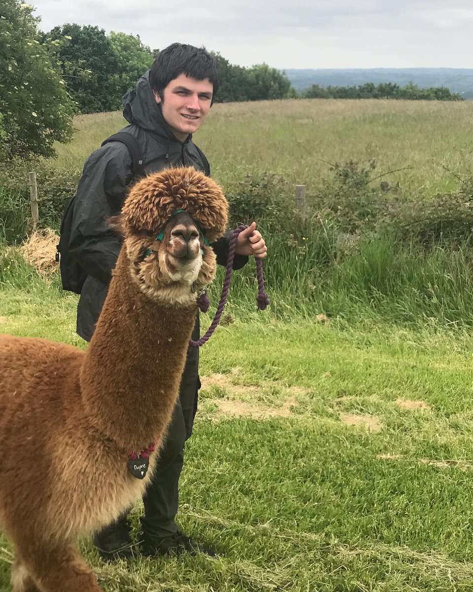 GauntlettESU's tweet photo. Alpaca Trekking!  It’s all about new friends in explorers! https://t.co/GpHNeKSwFd