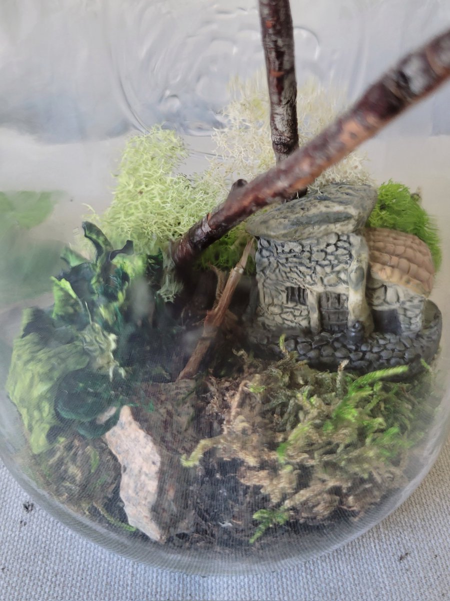 CraftsIdfk's tweet photo. Get your own Slice of Paradise 🌱 a little hut nestled in the woods is the perfect escape from whatever is happening 
#terrarium #glassjar #moss #sliceofparadise #beautiful #outdoors https://t.co/ey5gAk3GvN
