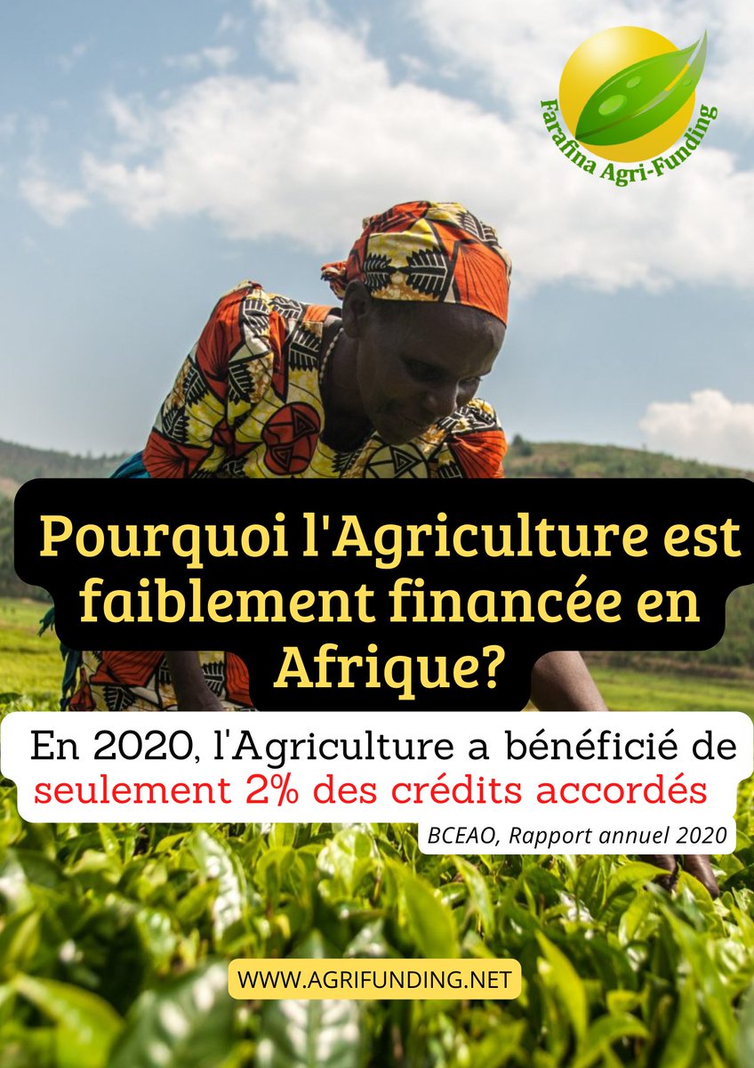 Pourquoi le financement de l'agriculture reste déficitaire au Burkina?
Seul 2% des exploitants agricoles ont accès aux crédits constituant une entrave majeure à leur développement.
#Agriculture #Financement #Burkina