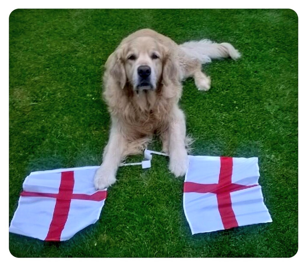 #ThrowbackJubilee to when 'Shakira Shakira' retweeted Big Vee
<a href="/Harveyretriever/">Harvey</a> <a href="/Shakira/">Shakira</a>