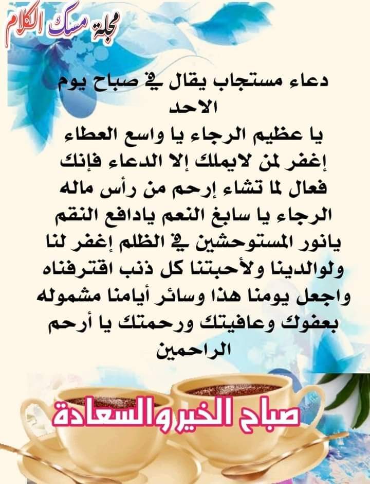 alaa amy tweet media