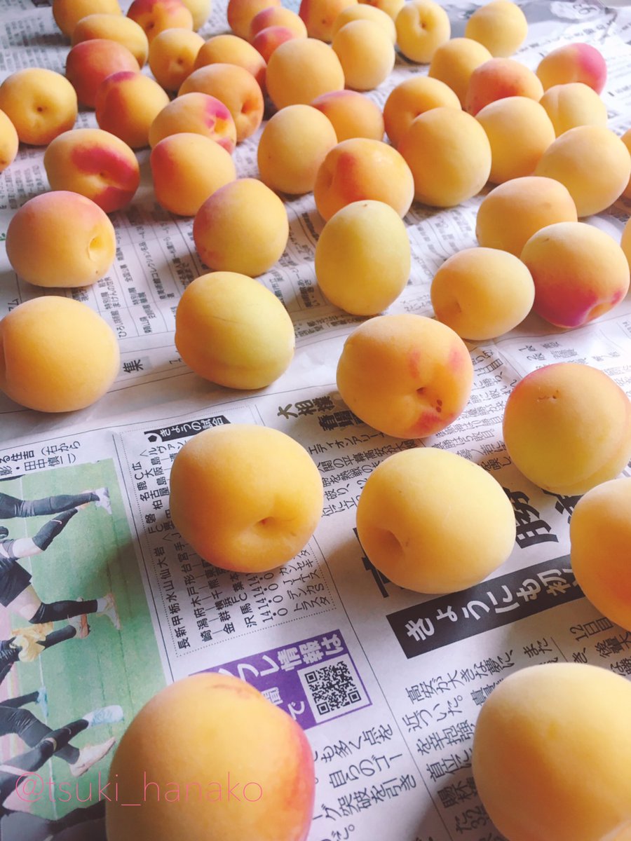今年も梅干し作り。今回は完熟じゃない梅を買って家で追熟させてみました。
いい匂いが徐々に充満していくのが分かって楽しかったです。モフさんもうっとり。
かっこいいサイン入りの梅もありました。
#はなこと旦那とモフ https://t.co/9stuxrpJxO