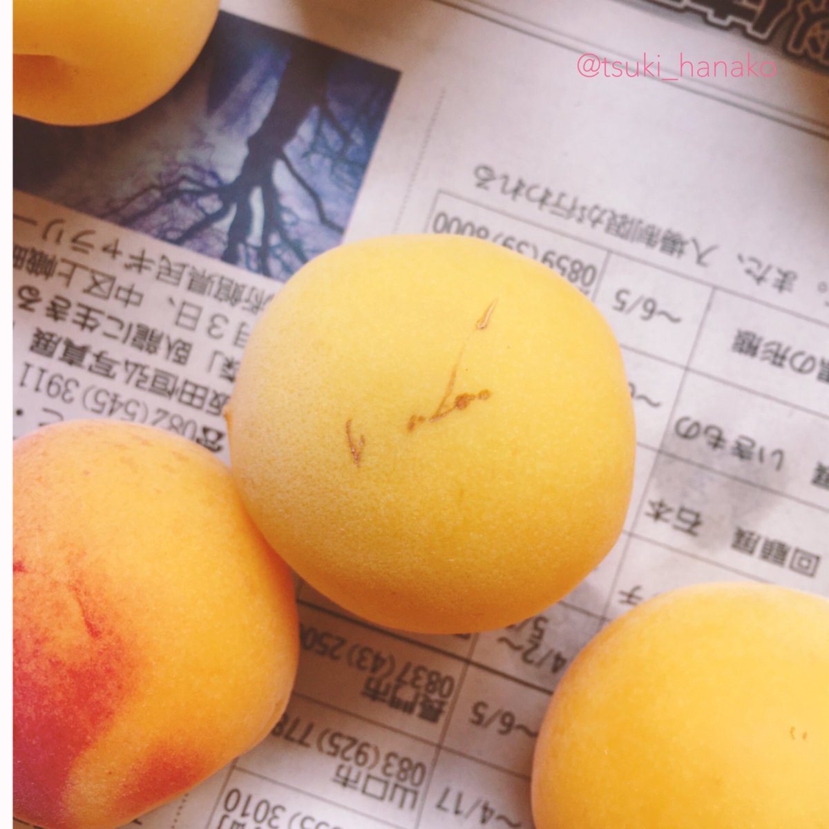 今年も梅干し作り。今回は完熟じゃない梅を買って家で追熟させてみました。
いい匂いが徐々に充満していくのが分かって楽しかったです。モフさんもうっとり。
かっこいいサイン入りの梅もありました。
#はなこと旦那とモフ https://t.co/9stuxrpJxO