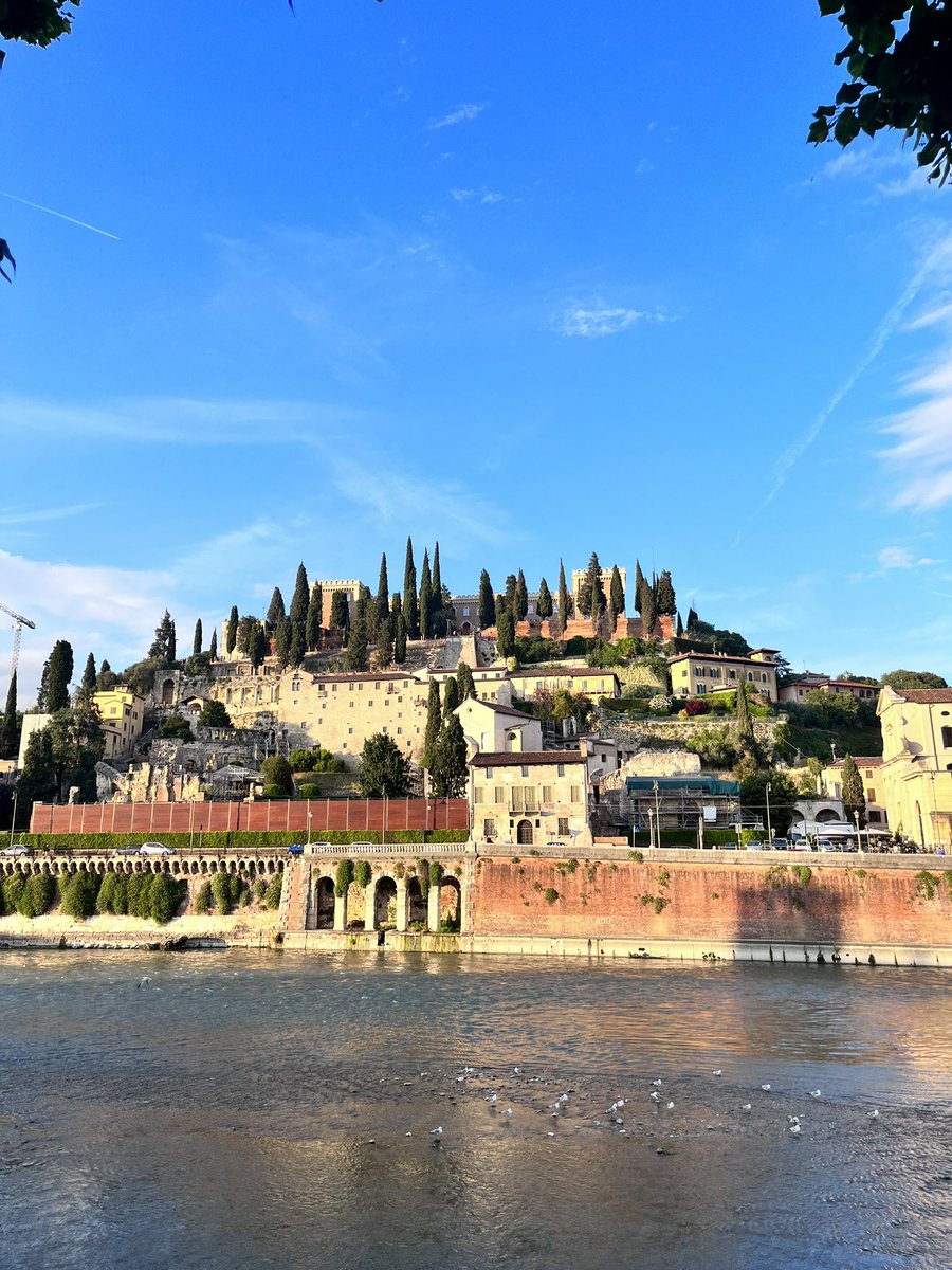 Raquel Tonello (@tonello_raquel) on Twitter photo Ciao Verona!! Amazing <a href="/PainMechanisms/">Pain Mechanisms and Therapeutics</a> conference! It was good to see old friends and meet great researchers in the pain field. Ciao Verona!! Amazing <a href="/PainMechanisms/">Pain Mechanisms and Therapeutics</a> conference! It was good to see old friends and meet great researchers in the pain field.