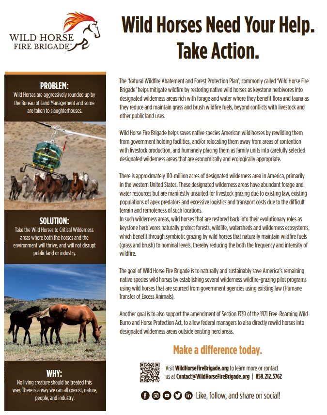 DSnovel's tweet photo. @PlawJackie Thank you! For me, this life is meaningless unless we can make the lives of our precious wild horses (Spirit Horses) better. That is my goal using Wild Horse Fire Brigade! #WildHorses #SpiritHorses https://t.co/cJ58Iyar4G