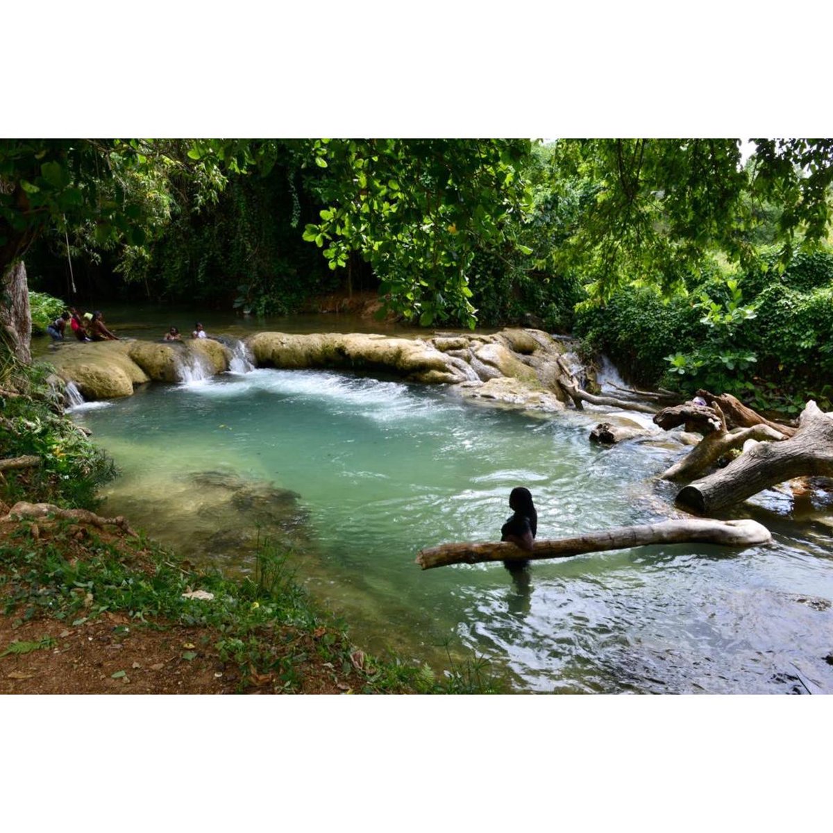 myvmgroup's tweet photo. Thank you to our VM Wealth Team Members and VM Group volunteers for coming together to help transform St. Toolies River!
#VMWealth #TransformYourEveryday #Jamaica https://t.co/0EcFELy5QP