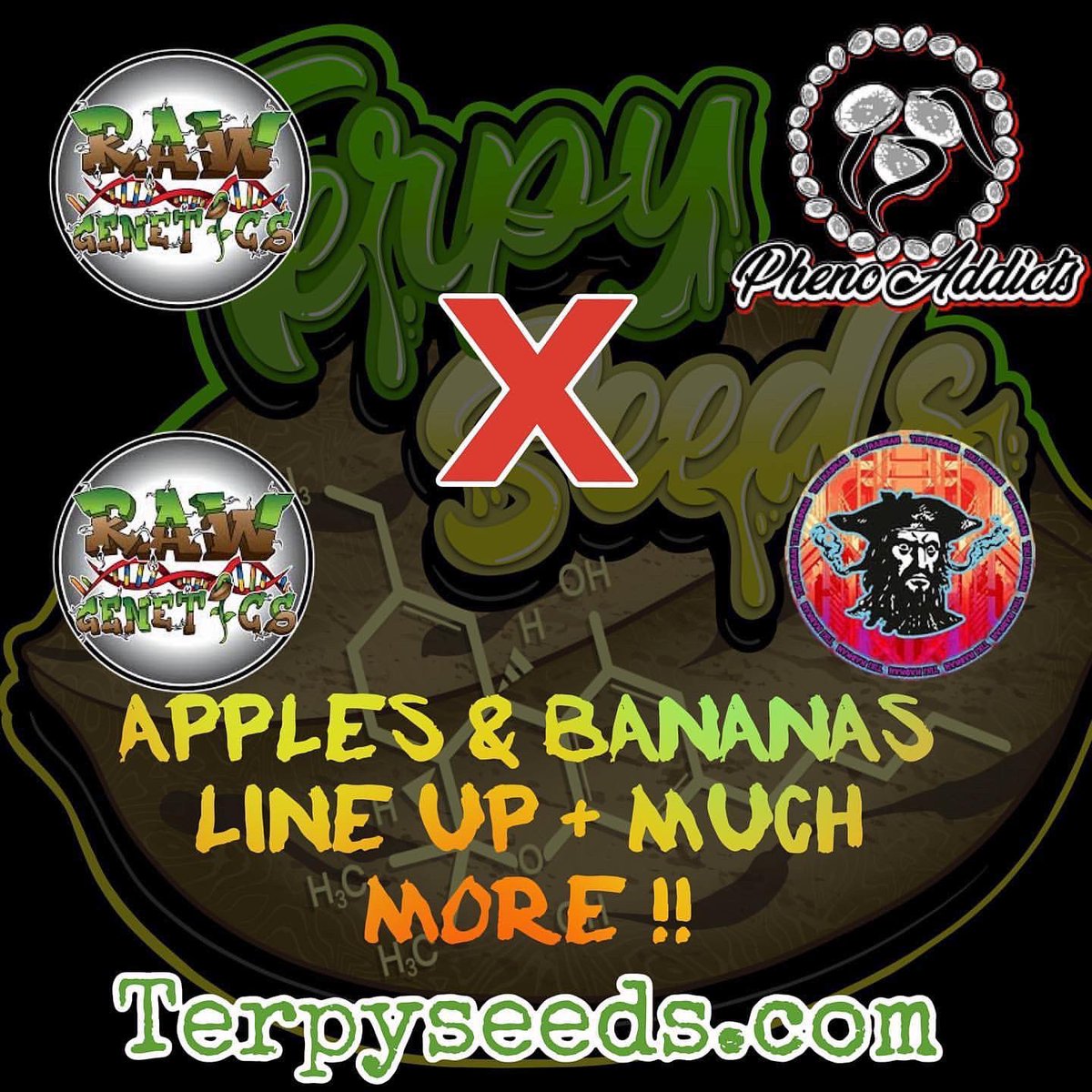 <a href="/terpyseeds/">Terpyseeds</a> 🚨 𝐷𝑟𝑜𝑝𝑝𝑖𝑛𝑔 𝑇𝑜𝑑𝑎𝑦 7 𝑝𝑚 𝑒𝑠𝑡 🚨
 𝐻𝑢𝑔𝑒 𝑆／𝑂 <a href="/rawconnect/">rawconnect</a>  <a href="/flavor_designer/">flavor.designer</a> @tikimadmanx  𝐷𝑜 𝑛𝑜𝑡 𝑠𝑙𝑒𝑒𝑝 𝑜𝑛 𝑡ℎ𝑒𝑠𝑒 𝑏𝑎𝑛𝑔𝑒𝑟𝑠 ．． 𝑊𝑒 𝑎𝑙𝑠𝑜 𝑤𝑖𝑙𝑙 ℎ𝑎𝑣𝑒 𝑎 𝑉𝑎𝑢𝑙𝑡 𝑑𝑟𝑜𝑝 👀👀