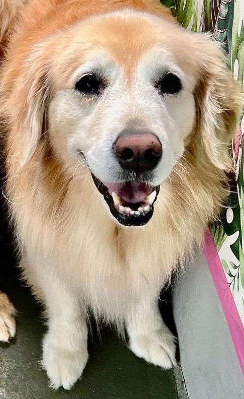 I am feeling great today!