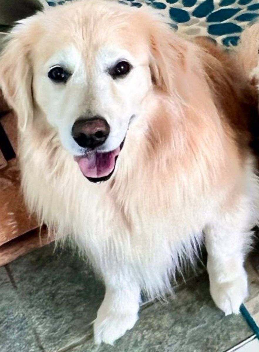 I love you! Especially when I get carrots!