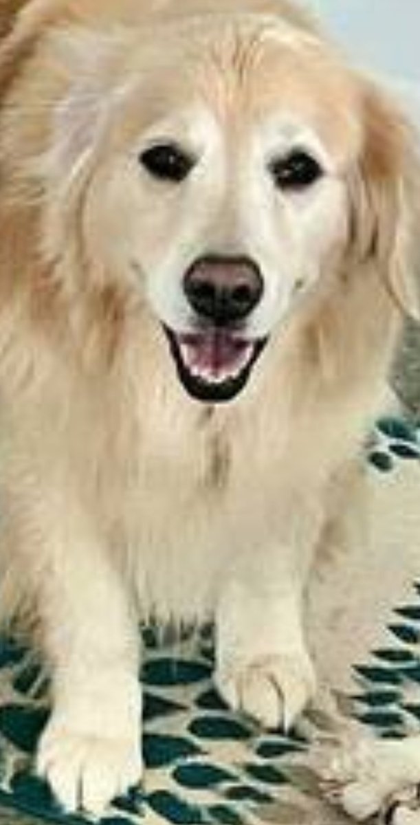 I am spam posting today, so enjoy! 😁