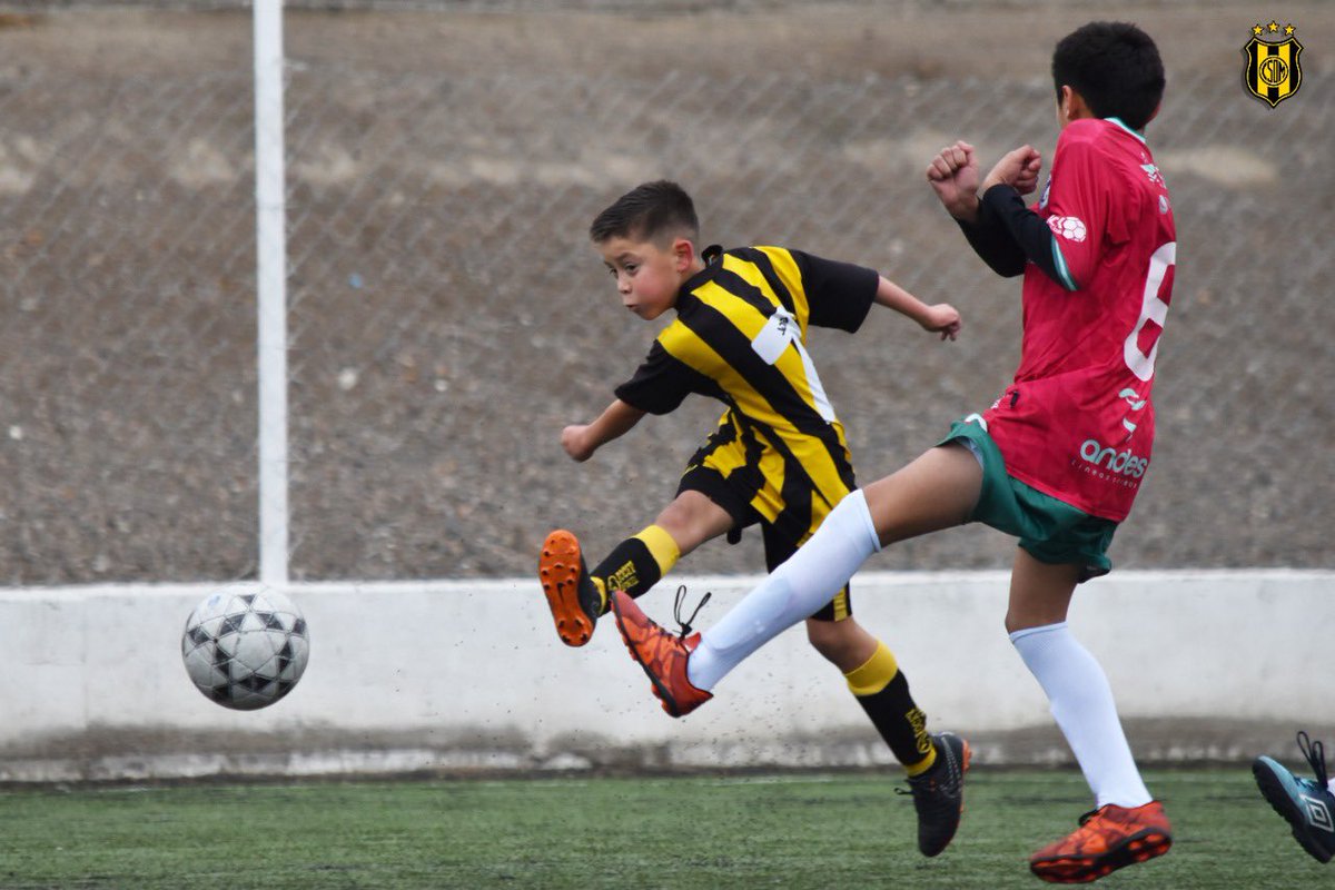 ClubMadryn's tweet photo. #LigaDelValle ⚽️ | Nuestras infantiles disputaron el Clásico del Golfo obteniendo los siguientes resultados:

2011 #DeportivoMadryn 2 - 1 @BrownDeMadryn 
2010 Deportivo Madryn 1 - 2 Brown
2009 Deportivo Madryn 0 - 0 Brown
2008 Deportivo Madryn 2 - 0 Brown

#VamosLosPibes https://t.co/12PNOEuavA