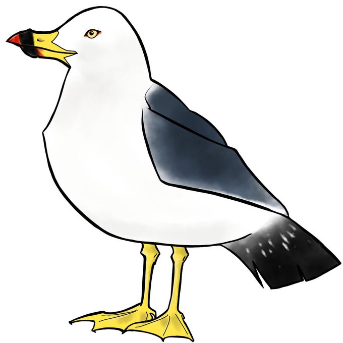 ウミネコのtwitterイラスト検索結果