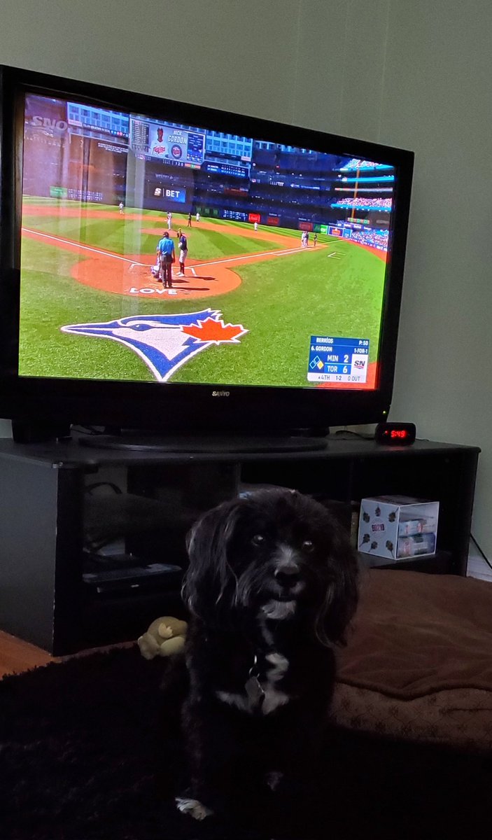 LGlass44's tweet photo. Enjoying the game with this little cutie.
#TDfancam https://t.co/XMzTGxpNG9