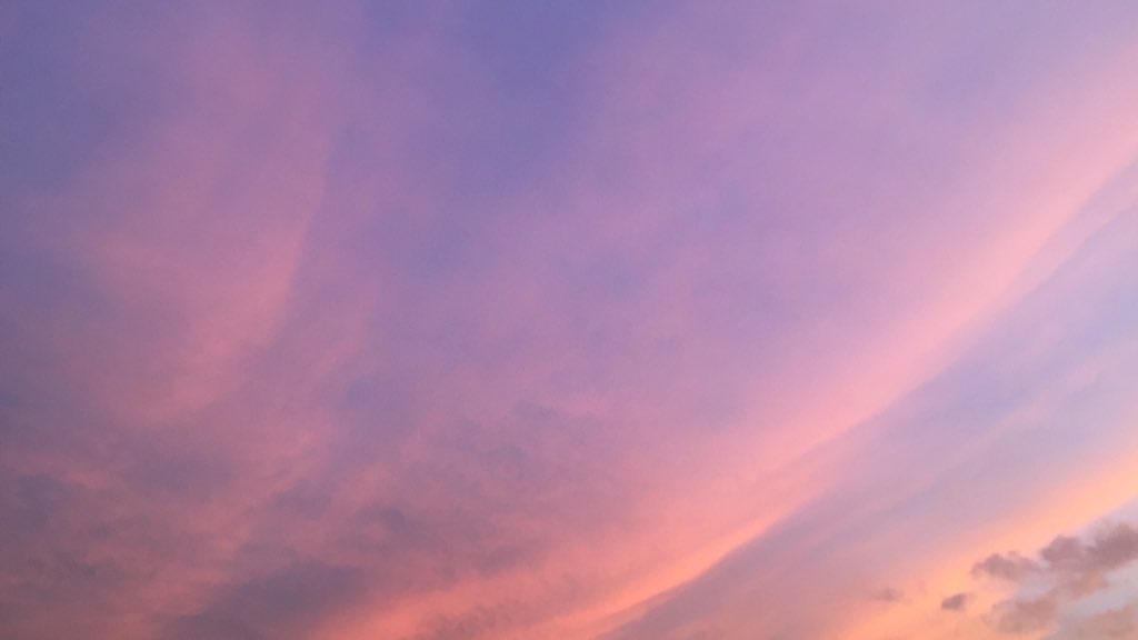 Solohsenpai's tweet photo. https://t.co/2HTOyO0BIr