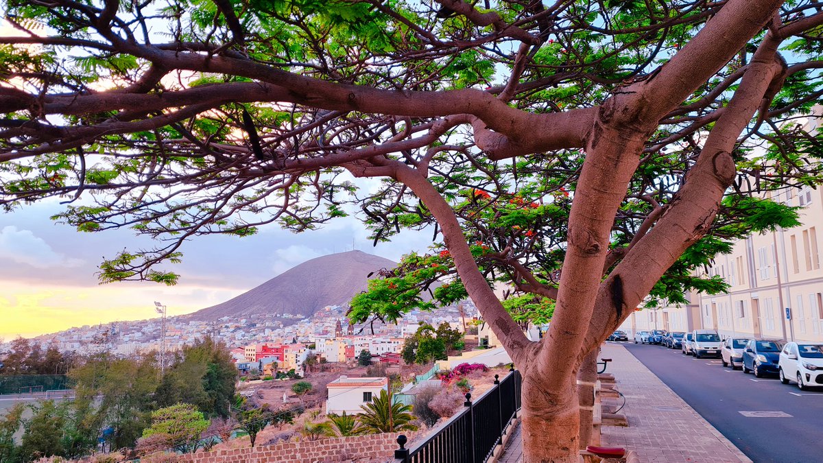 😊🌇Desde #SanRoque tenemos unas vistas maravillosas!!
#SantaMaríadeGuía