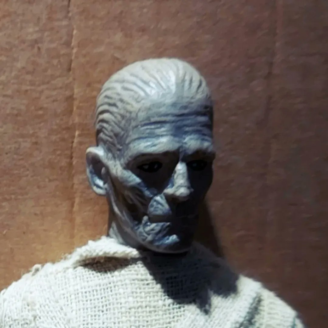 meertoh's tweet photo. Maudlin Mummys. Kharis from Azrak Hamway and Imhotep from Mego have had better days. #themummy #mummy #mummysofinstagram #kharis #imhotep #universalmonsters #lonchaneyjr #boriskarloff #moviemonsters #azrakhamway #ahi #mego #70stoys #actionfigurephotography https://t.co/I8H1cduetq