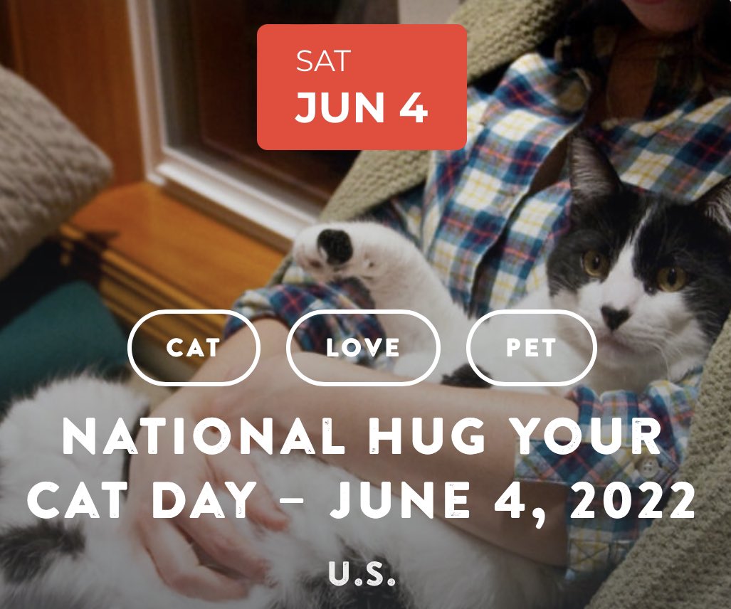 Kitty Crypto Gang tweet media