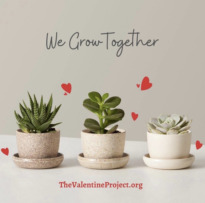 The Valentine Project tweet media