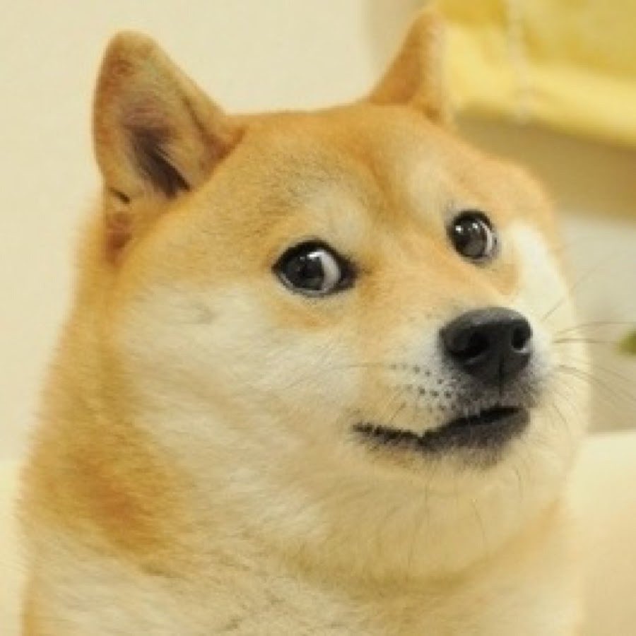 Primu_Grape's tweet photo. 學習新表情(*ﾟ∀ﾟ*)
#不定期開台
#Primu #PrimuGrape #普莉姆 #Vtuber #anya #doge https://t.co/YJNS0xYaWb