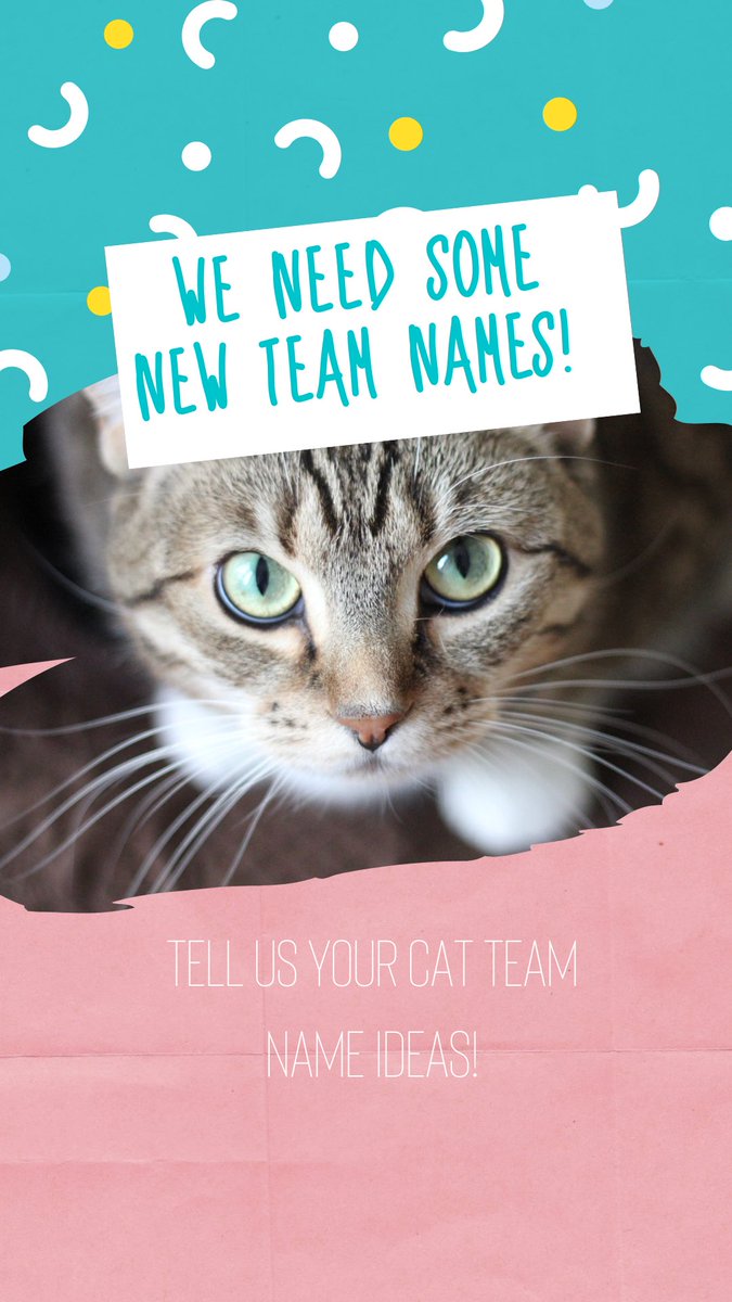 CA_PlanoTX's tweet photo. We have some exciting new teams for the 2023 season, but we need your help! What are some new cat team names that you think would be PUUURRRRFECT?! 🐈💙🐈‍⬛ https://t.co/VqG8ltniuW