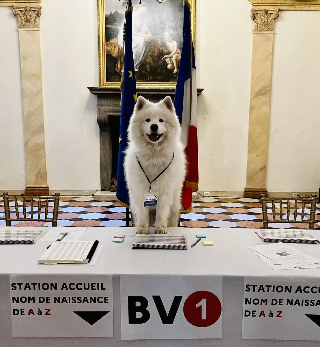 franceinnyc's tweet photo. #Législatives2022 | À New York, Mélisse, fidèle au poste, vous accueille jusqu’à 19 heures 😉🐾🐶 https://t.co/n0W2JykioP