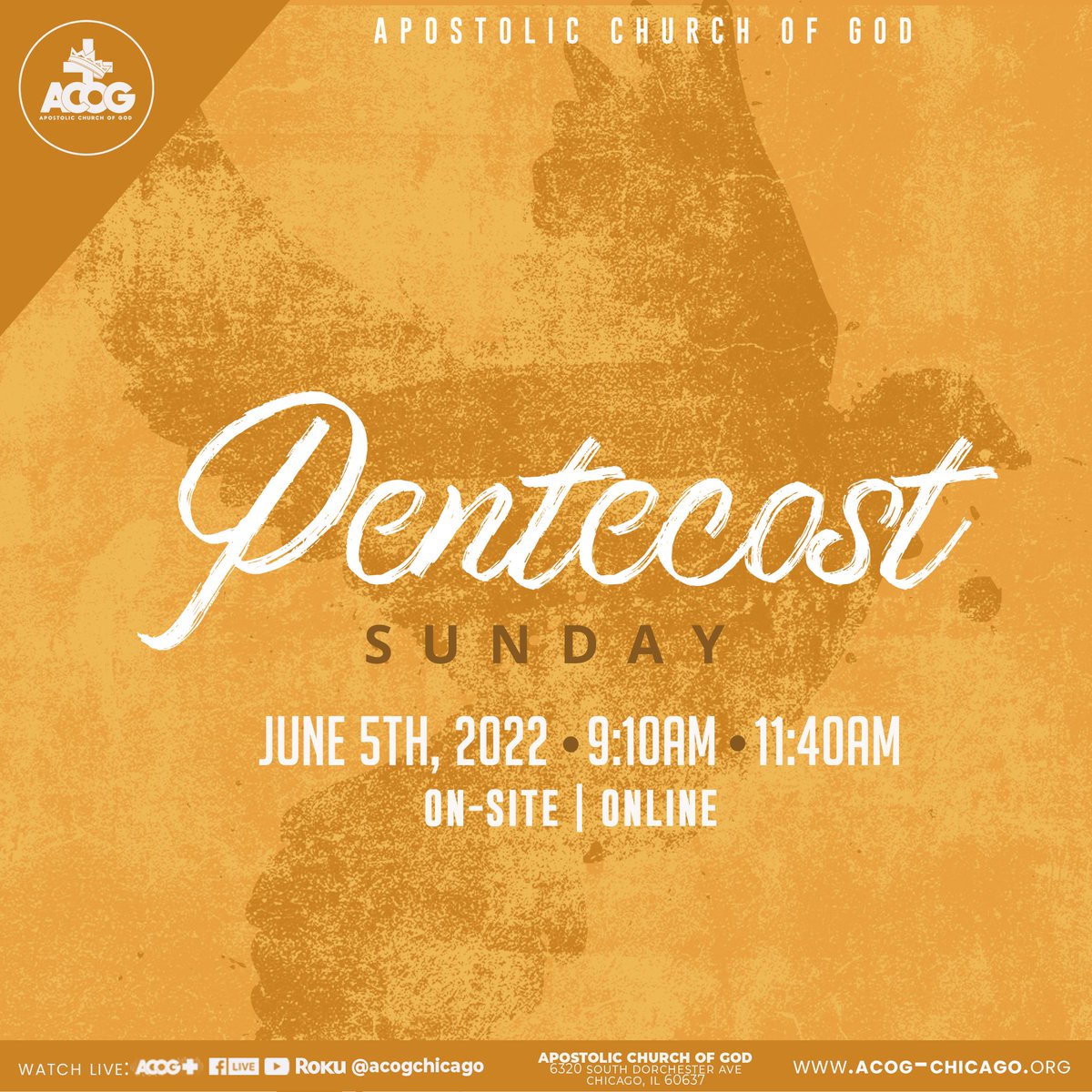ACOGChicago's tweet photo. Join us for Pentecost Sunday Worship! Tomorrow at 9:10am & 11:40am in person or online! Come and let’s give God Great Praise!
#acogeverywhere #acogstrong https://t.co/5jDXqrd6jN
