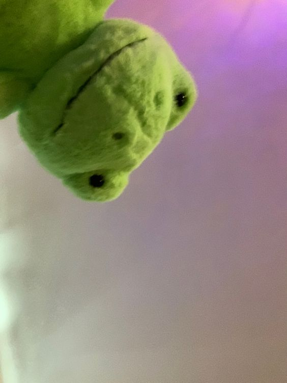 Porque para Akise y Haru su skin care es más importante que cualquier cosa, primero se pusieron más guapos y luego se lanzaron a #𝚜ee𝚑alfaxa🚲 de nuestros gemelindos <a href="/angeIs_333/">𝐀𝐑T ⊹ 𝔸N𝐆ELS</a>, por aquí estamos muy felices de verlos debutar con #𝚎ternal𝚊rt🎨