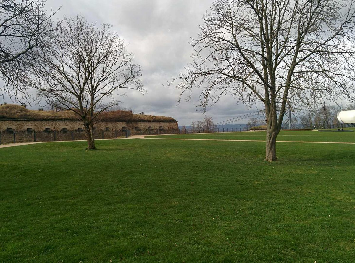 TheLemonRoute's tweet photo. Coblenz, Germany 🇩🇪
"Listening well is as powerful as talking well, and is also as essential to true conversation." - Chinese Proverb
#photography #backpacking #SaturdayMorning #Germany https://t.co/VntYxRH0YM