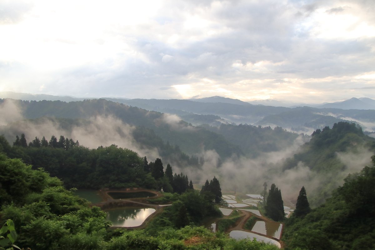 yuske0817's tweet photo. 山古志雲海。。。
一本杉は、雲の中。そして1時間後
2022/06/04 撮影。
#雲海 #朝靄 #棚田 #棚池 #山古志 #長岡 #新潟県 #seaofclouds #ig_clouds #riceterraces #japan_morning_view #lovers_nippon #art_of_japan_ #wu_japan #広がり同盟 #新潟旅マグ #ばっかいいね新潟 #新潟のコメジルシ https://t.co/gQk3jciSR0