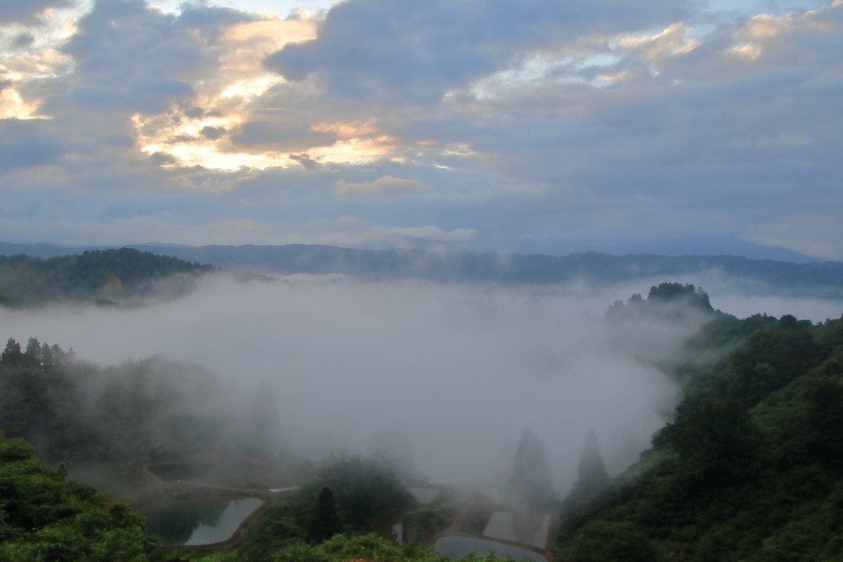 yuske0817's tweet photo. 山古志雲海。。。
一本杉は、雲の中。そして1時間後
2022/06/04 撮影。
#雲海 #朝靄 #棚田 #棚池 #山古志 #長岡 #新潟県 #seaofclouds #ig_clouds #riceterraces #japan_morning_view #lovers_nippon #art_of_japan_ #wu_japan #広がり同盟 #新潟旅マグ #ばっかいいね新潟 #新潟のコメジルシ https://t.co/gQk3jciSR0