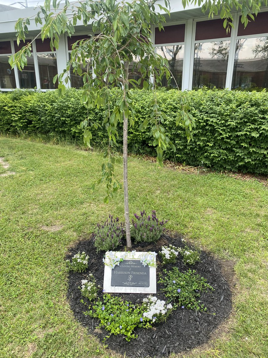 Thank you Ms. Flohl for making Harrison’s garden a beautiful place to visit. <a href="/SachemSchools/">Sachem Schools</a>