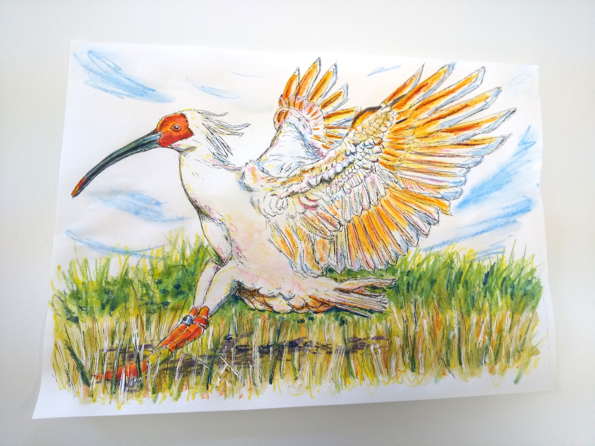 ねこい 元ギャラリーねこい 10月19日亀田イオンカルチャースクールで水彩色鉛筆塗り絵教室をします 本日の新潟紹介イラスト 世界環境デー なんですね 世界というより地元からで海や川 山に田んぼにゴミを捨てる事がない様に またお店や観光施設の