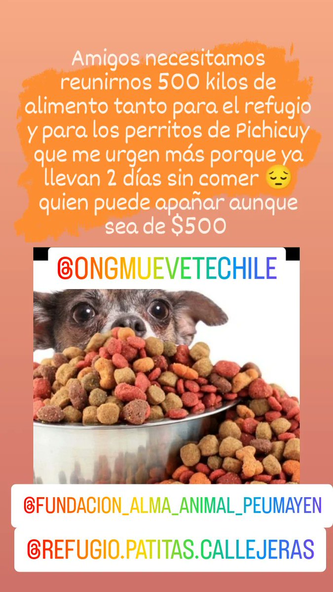 Fundación Alma Animal Peumayen tweet media