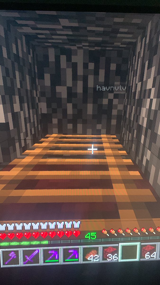 __Ivix__'s tweet photo. when @hayden_NaH gets stuck on the nether roof<33 https://t.co/FfdHuXMhyz