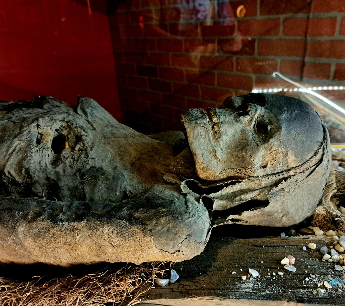 KBiggers88's tweet image. Spent a few days in a cabin smack dab between Pigeon Forge &amp;amp; Gatlinburg, TN 🌳 #FunWasHadByAll