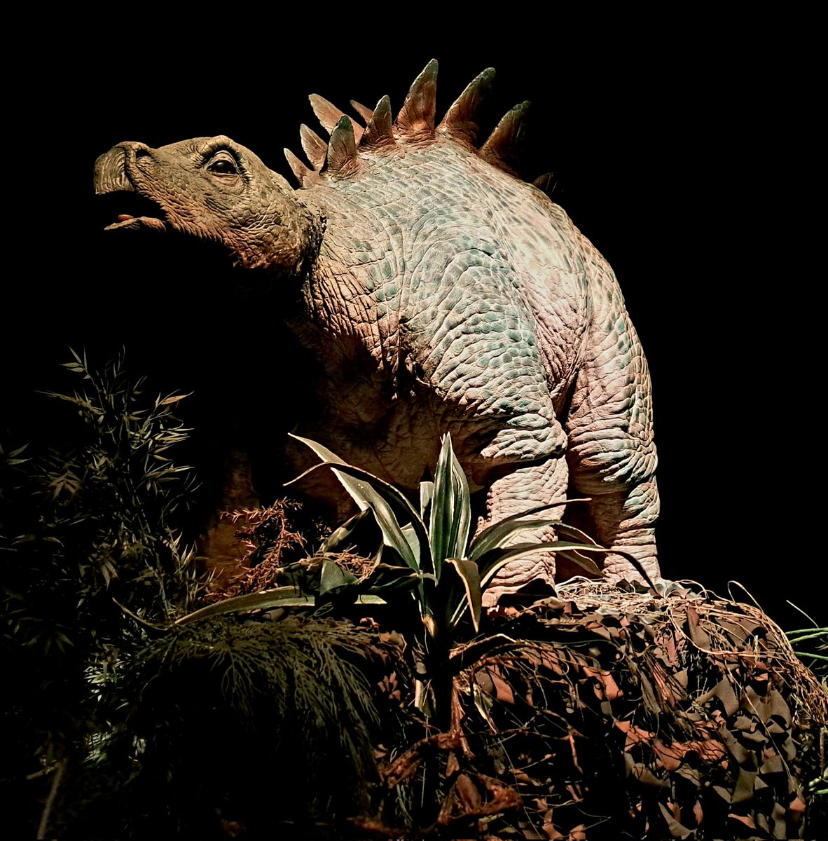 KBiggers88's tweet image. Spent a few days in a cabin smack dab between Pigeon Forge &amp;amp; Gatlinburg, TN 🌳 #FunWasHadByAll