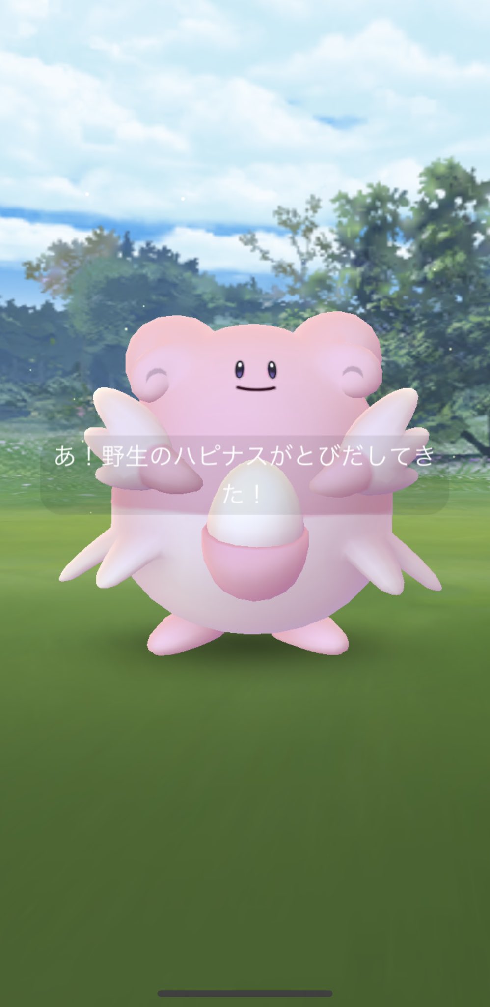 Odashi62 朝からハピナス 今日はいっぱい色違いが出るんじゃないかと思います ポケモンgo リベンジ 色違い100 T Co Yzoxola8y3 Twitter