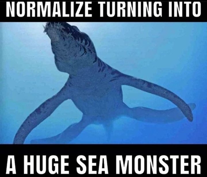 Ocean creature tweet media