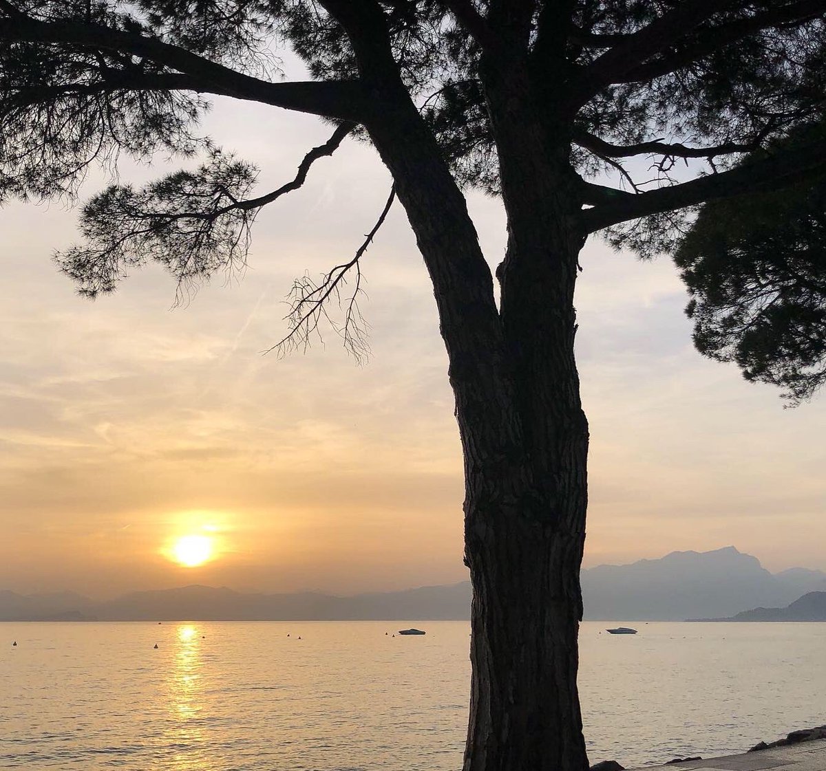 The ethereal beauty of a sunset in Lazise, Lake Garda. #sunset, #sunsetphotography, #lakegarda, #lakegardaitaly, #lakegardaphotography, #lazise, #lazisesulgarda, #sunsetinlazise, #lakegardasunset