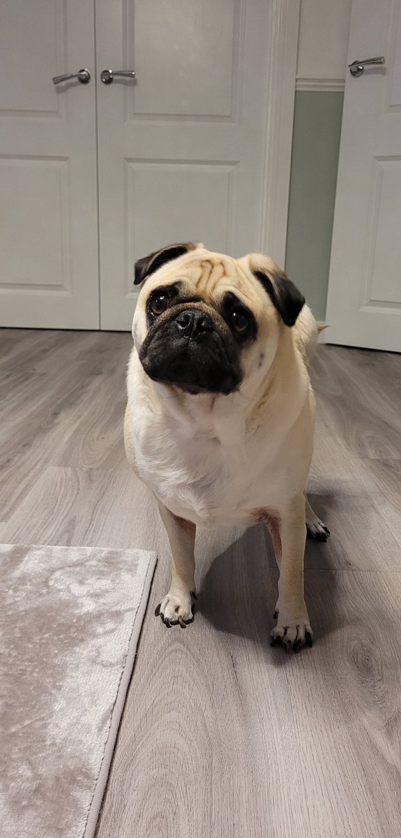 When I grow up I want to be Pablo