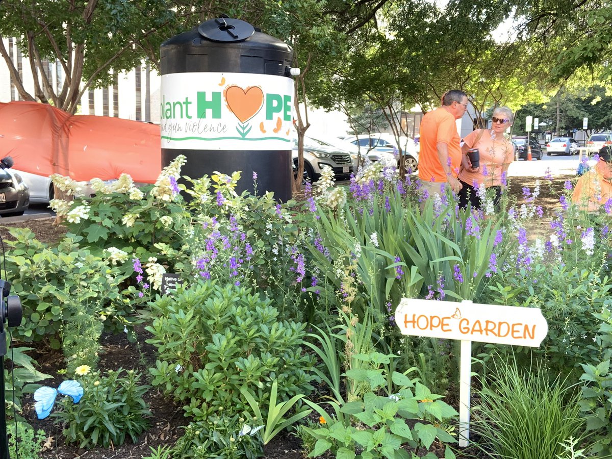 Libby Garvey tweet media